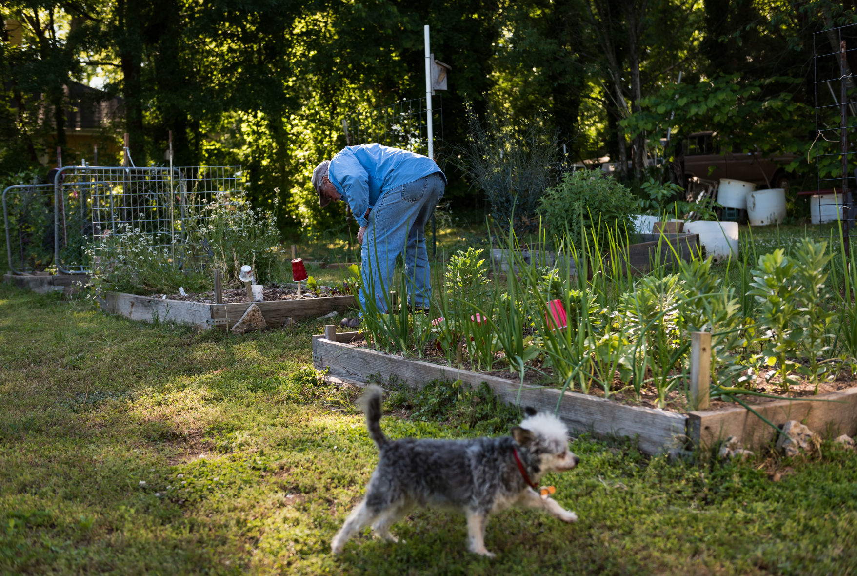 Jim and Jan Hullihan Urban Garden